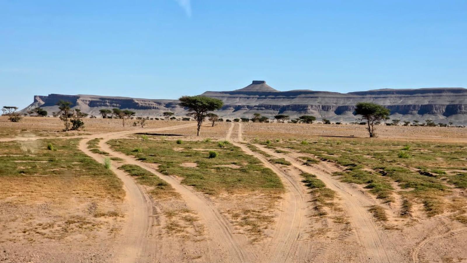 Bivouac Cote-Iriki Foum Zguid Exterior foto