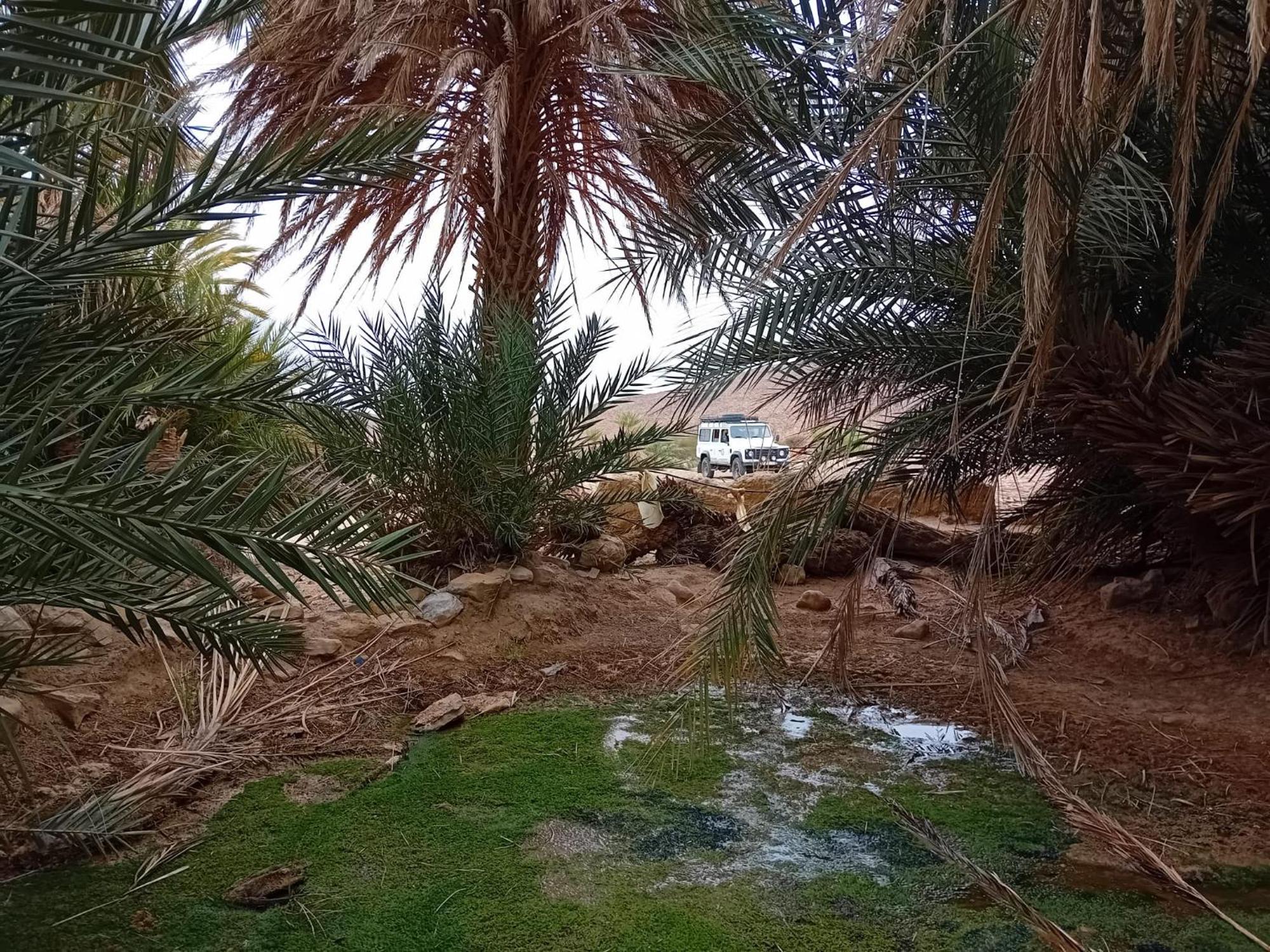 Bivouac Cote-Iriki Foum Zguid Exterior foto